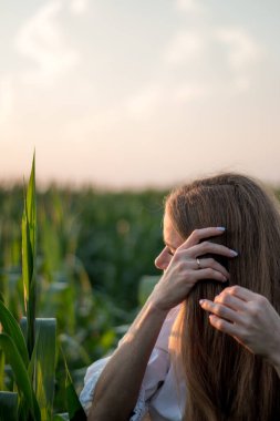 Yazın, batan güneşin ışığında, mısır tarlasında yeşil yaprakların arasında uzun kızıl saçlı güzel bir kadın..