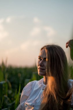 Yazın, batan güneşin ışığında, mısır tarlasında yeşil yaprakların arasında uzun kızıl saçlı güzel bir kadın..