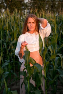 Yazın, batan güneşin ışığında, mısır tarlasında yeşil yaprakların arasında uzun kızıl saçlı güzel bir kadın..