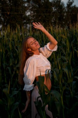 Yazın, batan güneşin ışığında, mısır tarlasında yeşil yaprakların arasında uzun kızıl saçlı güzel bir kadın..