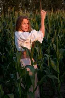 Yazın, batan güneşin ışığında, mısır tarlasında yeşil yaprakların arasında uzun kızıl saçlı güzel bir kadın..