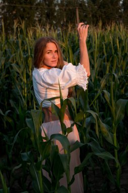 Yazın, batan güneşin ışığında, mısır tarlasında yeşil yaprakların arasında uzun kızıl saçlı güzel bir kadın..