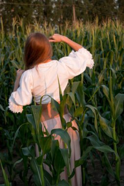 Yazın, batan güneşin ışığında, mısır tarlasında yeşil yaprakların arasında uzun kızıl saçlı güzel bir kadın..