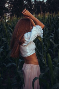 Yazın, batan güneşin ışığında, mısır tarlasında yeşil yaprakların arasında uzun kızıl saçlı güzel bir kadın..