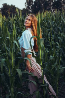 Yazın, batan güneşin ışığında, mısır tarlasında yeşil yaprakların arasında uzun kızıl saçlı güzel bir kadın..