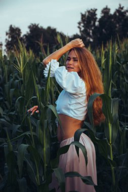 Yazın, batan güneşin ışığında, mısır tarlasında yeşil yaprakların arasında uzun kızıl saçlı güzel bir kadın..