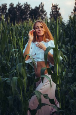 Yazın, batan güneşin ışığında, mısır tarlasında yeşil yaprakların arasında uzun kızıl saçlı güzel bir kadın..
