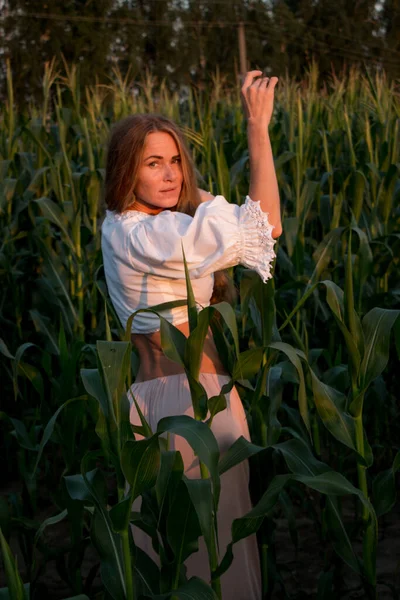 Yazın, batan güneşin ışığında, mısır tarlasında yeşil yaprakların arasında uzun kızıl saçlı güzel bir kadın..
