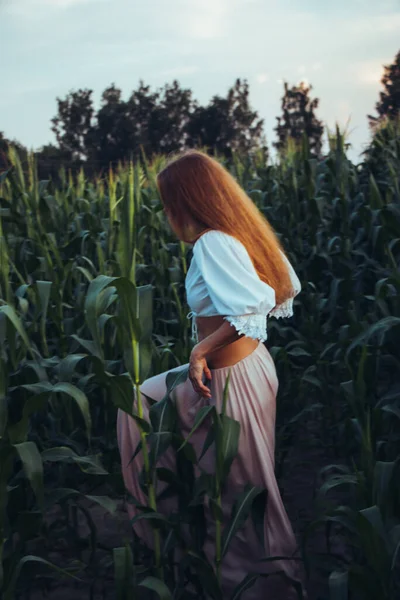 夏にはトウモロコシ畑の緑の葉の間に長い赤い髪の若い美しい女性 夕日の光の中で — ストック写真