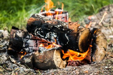 Yakacak odun, içinden duman çıkan bir ateşte yanar. Yazın çimlerin üzerindeki güzel çam kütüklerinden yakılan şenlik ateşi. Güzel doğal arkaplan.