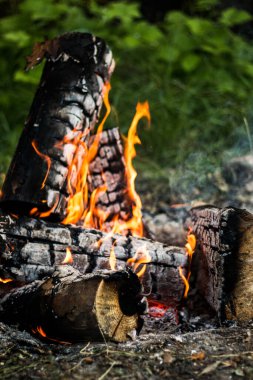 Yakacak odun, içinden duman çıkan bir ateşte yanar. Yazın çimlerin üzerindeki güzel çam kütüklerinden yakılan şenlik ateşi. Güzel doğal arkaplan.