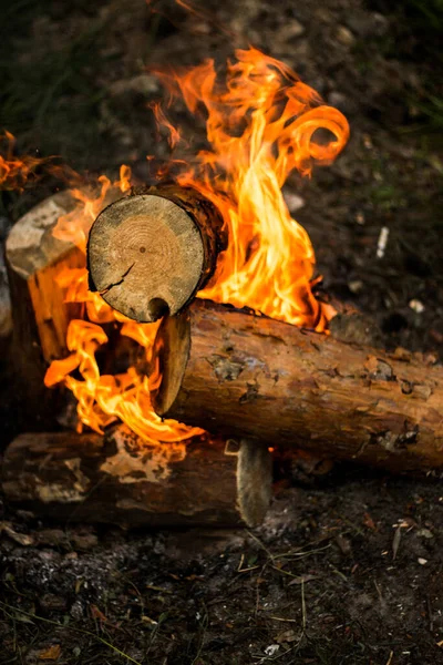 Yakacak Odun Içinden Duman Çıkan Bir Ateşte Yanar Yazın Çimlerin — Stok fotoğraf