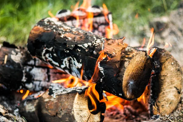 Firewood Burns Fire Smoke Coming Out Bonfire Beautiful Pine Logs — Stock Photo, Image