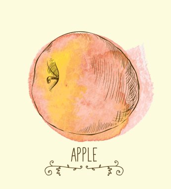 Temiz çevre dostu elma