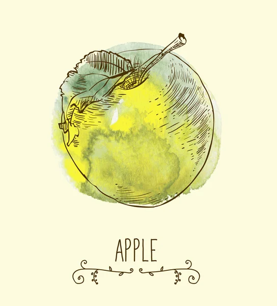 Pomme fraîche écologique — Image vectorielle