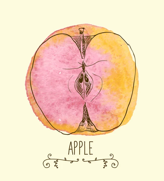 Свіжі екологічні apple — стоковий вектор