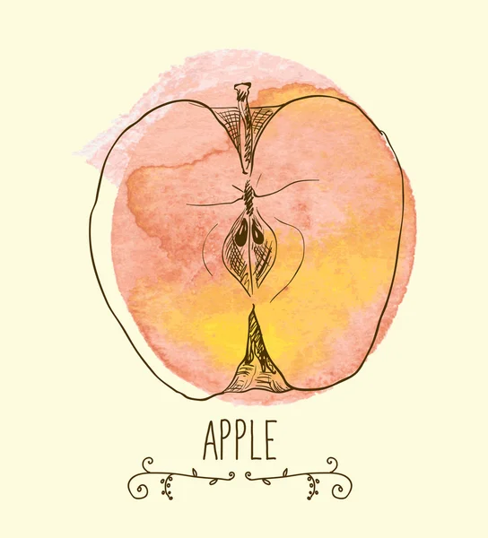 Verse eco-vriendelijke apple — Stockvector
