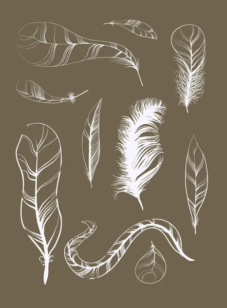 Set of Sketch Plumage — Stock Vector