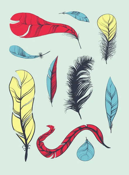 Set of Sketch Plumage — Stock Vector