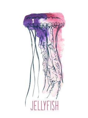 Hand drawn watercolor jellyfish clipart