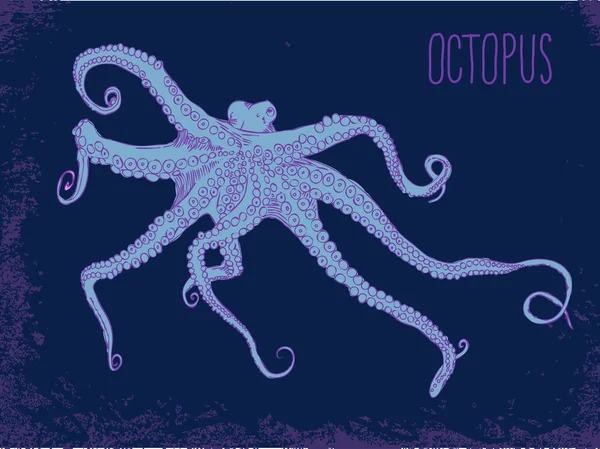 Pulpo azul dibujado a mano — Vector de stock