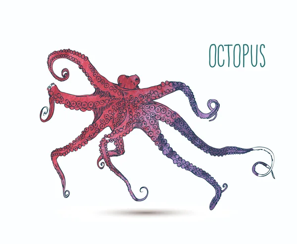 Handgezeichneter Oktopus — Stockvektor