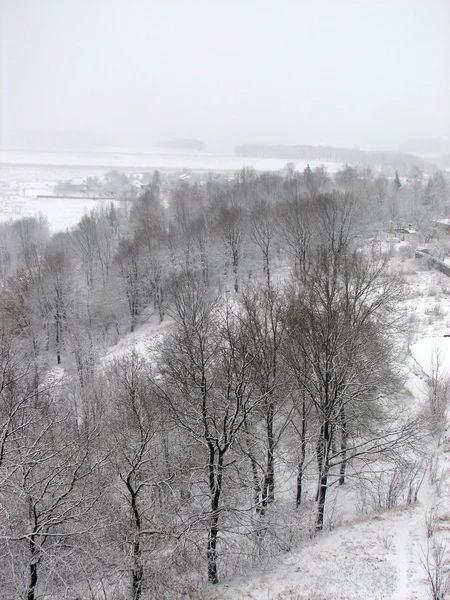 落雪的冬天 — 图库照片