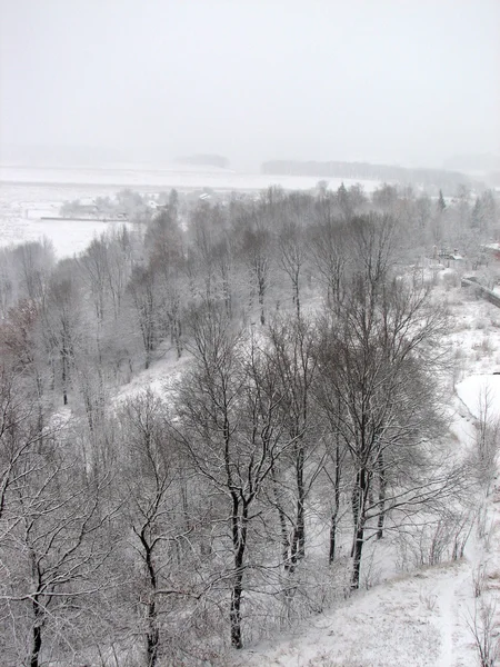 Inverno com queda de neve — Fotografia de Stock