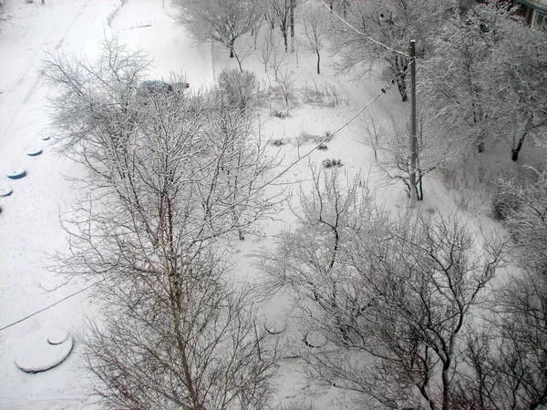 Vinter med fallende snø – stockfoto