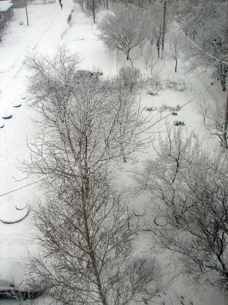 Zima s padající sníh — Stock fotografie