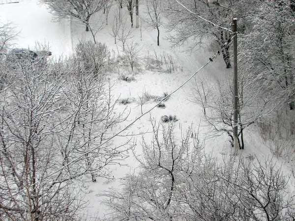 Winter mit fallendem Schnee — Stockfoto