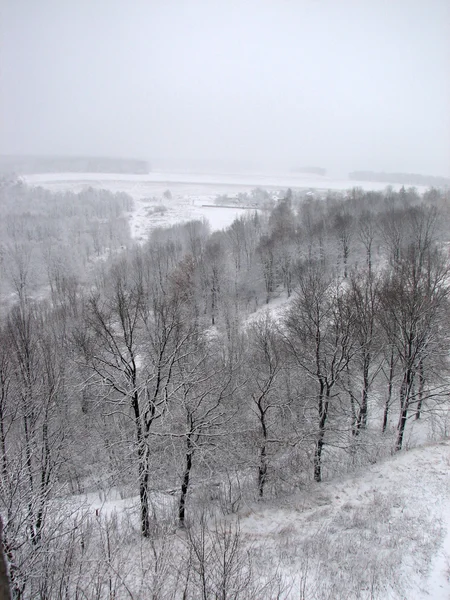 Vintern med fallande snö — Stockfoto