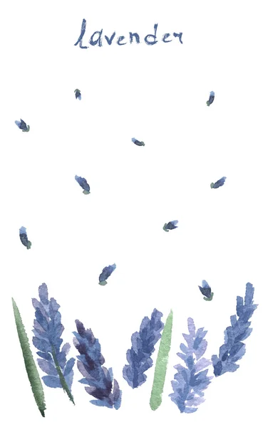 Acuarela lavanda con cinta azul acuarela . — Vector de stock