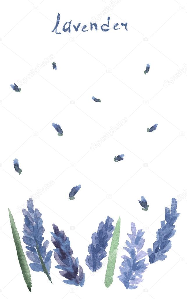 Vector watercolor lavender with blue bright watercolor ribbon.