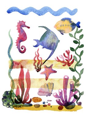 farklı deniz kabukları, mercan ve deniz yıldızı