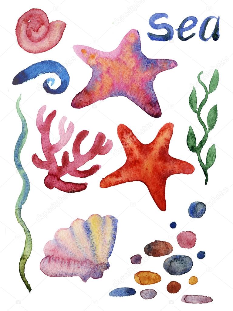 different sea shells, corals and starfish