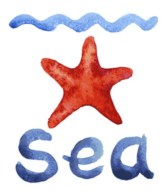 suluboya denizyıldızı el çekilmiş