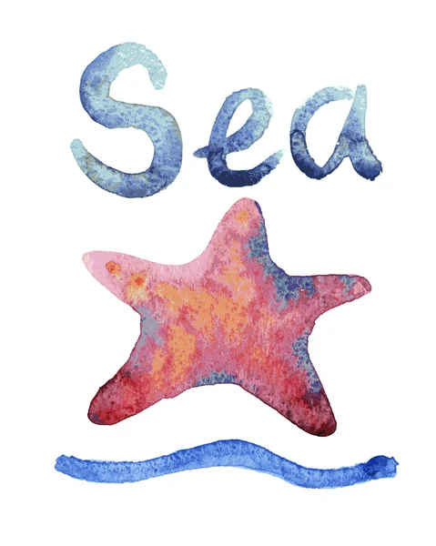 Aquarela desenhada à mão estrela do mar —  Vetores de Stock