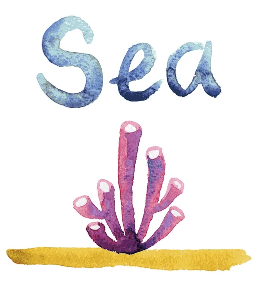 Watercolor sea sponge design template — Stock Vector