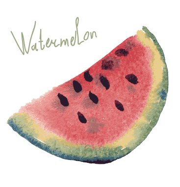 suluboya karpuz illüstrasyon.