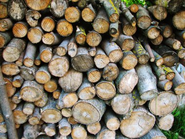 ahşap doku arkaplanı 