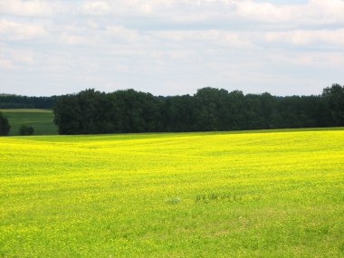 Yaz çim alan, yatay