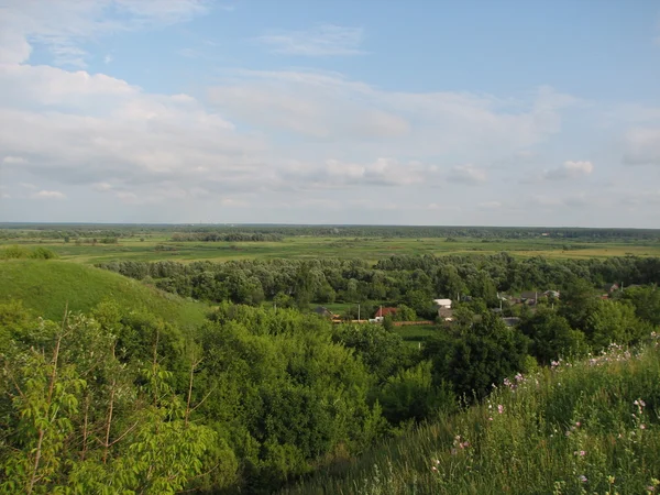 Krajobraz lato z pola trawy — Zdjęcie stockowe