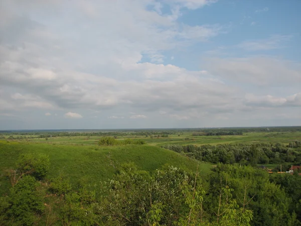 Krajobraz lato z pola trawy — Zdjęcie stockowe