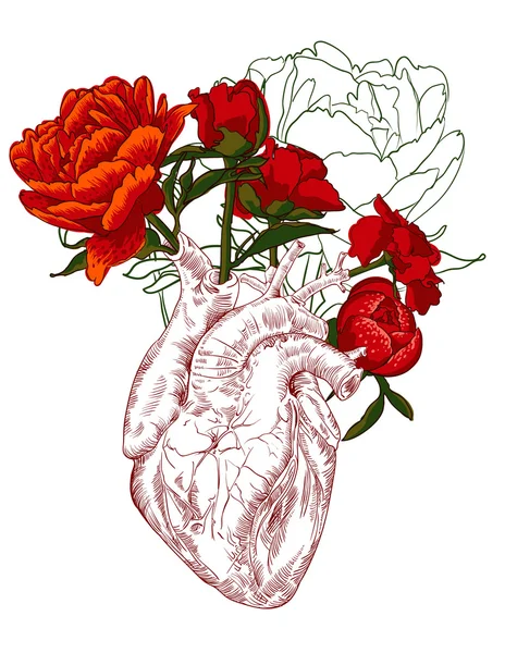 Dessin Coeur humain avec des fleurs — Image vectorielle