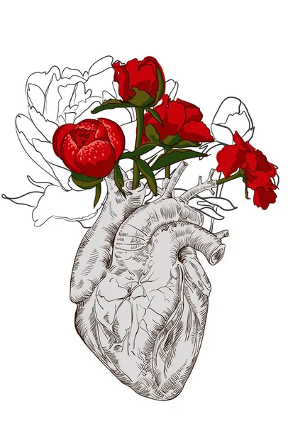 Drawing Human heart with flowers — Stock Vector