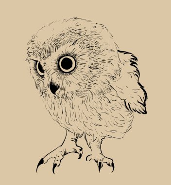 Baykuş el çekilmiş, siyah ve beyaz