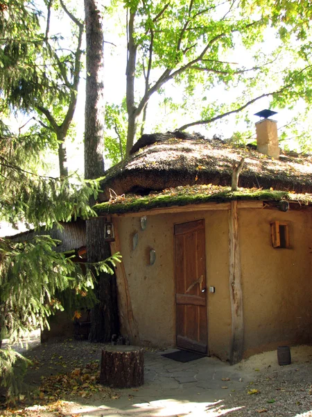 Stary dom adobe z krytym strzechą dachem — Zdjęcie stockowe