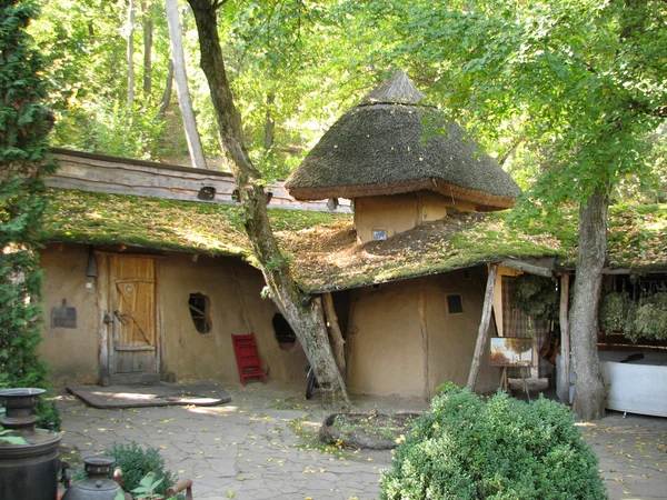 Bir thatched çatı ile eski adobe ev — Stok fotoğraf