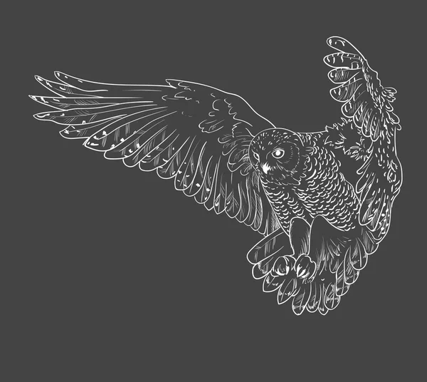 Hibou dessiné à la main, noir et blanc — Image vectorielle